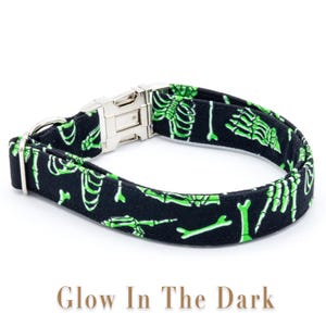 May include: A black dog collar with a glow-in-the-dark green skeleton and bone print. "Glow In The Dark" is written in brown text below the collar.