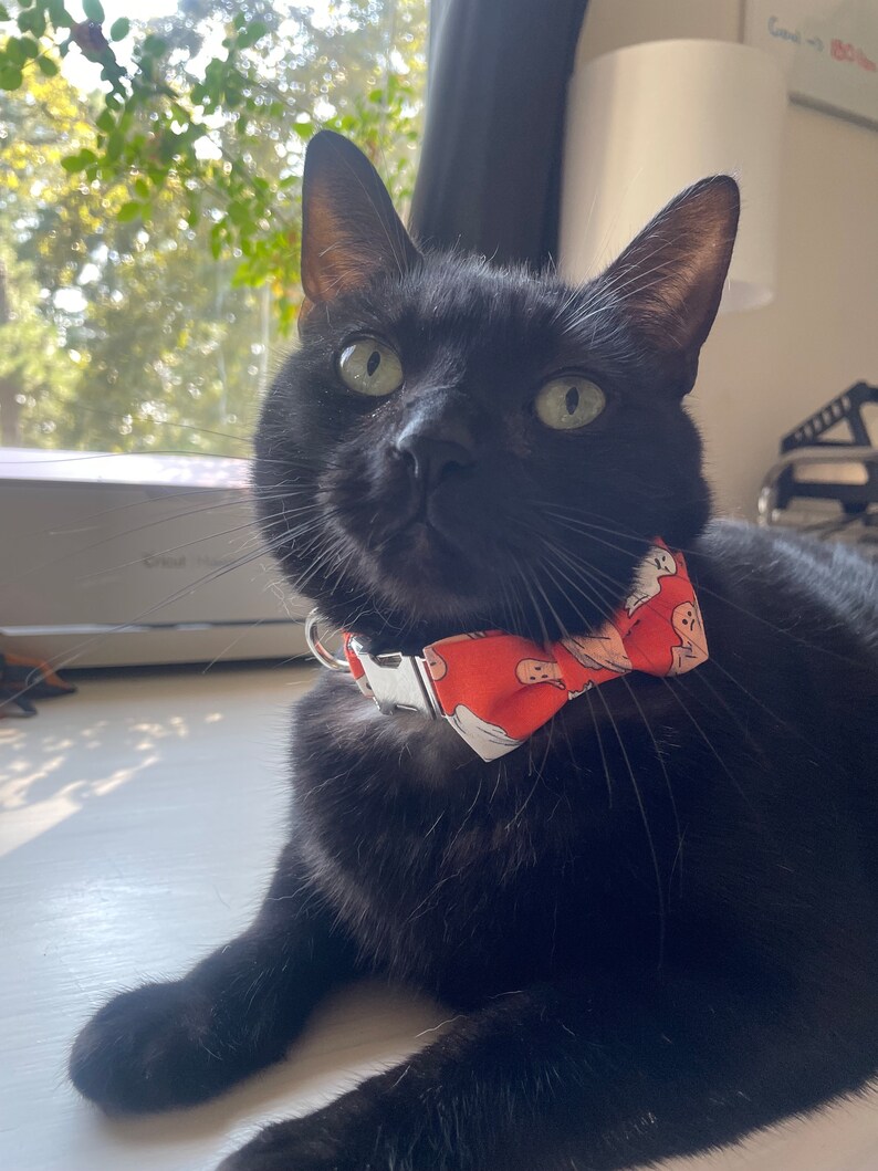 May include: A black cat wearing a Halloween-themed bow tie collar. The bow tie is orange with a white ghost pattern. The cat has green eyes and is looking towards the camera. The cat is lying down on a white surface.