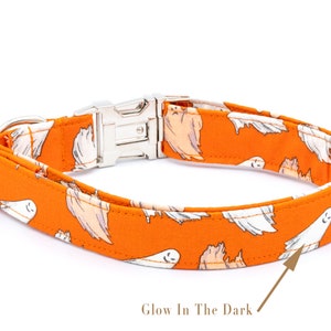 May include: Orange dog collar with a repeating pattern of white and tan ghosts. The collar has a silver metal buckle and a D-ring. The text "Glow In The Dark" is visible. A Halloween-themed accessory.