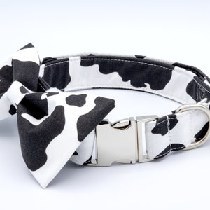 May include: A black and white cow print dog collar with a matching bow tie and a silver buckle.