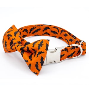May include: Orange and black dog collar with a bow tie featuring a bat pattern. The collar has a silver buckle and a silver D-ring.