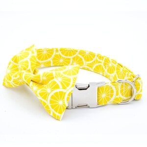 May include: A yellow dog collar with a lemon print and a matching bow tie. The collar has a silver buckle and a silver D-ring.