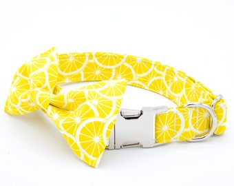 Summer Lemon Dog Collar, Citrus Collar, Yellow, Matching Bowtie, Personalized Embroidery, Dog Mom Gift, Summer Girl Dog, Fruit Citrus