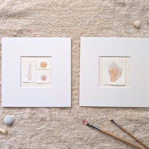 May include: Two framed seashell art prints. One print features three seashell illustrations, and the other showcases a single conch shell. The artwork is set against a neutral background, with seashells and paintbrushes scattered around.
