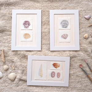 May include: Three framed seashell art prints with white frames. Each print features two watercolor seashell illustrations in shades of purple, orange, and gray on a striped background. Seashells and paintbrushes are scattered around the frames.
