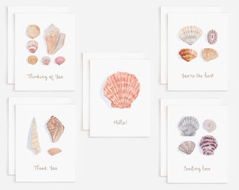 Variety Pack Of 10 Coastal Seashell Greeting Cards | Blank Inside Watercolor Seashell Note Cards For All Occasions | Ten Assorted Cards