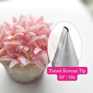 Abgestimmte koreanische Spitze 59s 590 59 Kuchen dekorieren Tülle