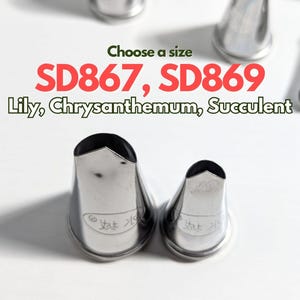 May include: Two stainless steel piping tips, labeled SD867 and SD869, with black tops, are displayed on a white surface. The text "Choose a size" and flower names are also visible. These tips are designed for creating lily, chrysanthemum, and succulent designs.
