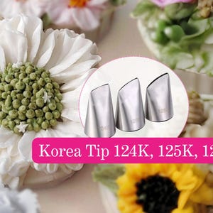 124K 125K 126K Paspelspitze Kuchen dekorieren Tülle koreanisch