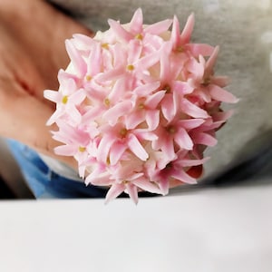 Buttercream tutorial: Allium flower Cupcake tutorial buttercream flowers