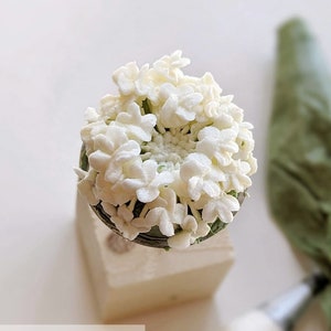 以下が含まれることがあります： 白いバタークリームの花の飾り付けのクローズアップ。"Didiscus 'Lacy White'" と呼ばれ、緑色の土台の上に置かれています。花は円形に配置され、美しく繊細なデザインになっています。