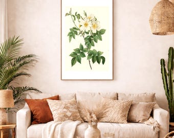 White Wildflower Botanical Print – Vintage Floral Illustration, Printable Wall Art, High Resolution Download