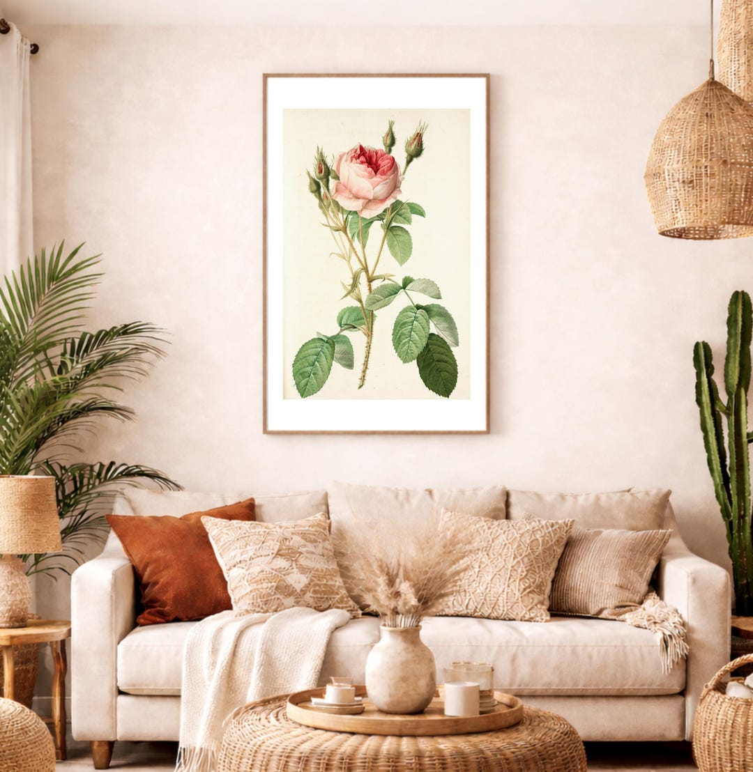Vintage Pink Garden Rose Botanical Print – Printable Wall Art, Classic ...