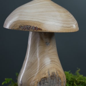 Wooden Mushroom Container