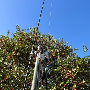 May include: An outdoor antenna system featuring two vertical aerials. One is black and coiled, the other is silver and straight. They are mounted on a grey pole with supporting hardware. The background shows green foliage and a clear blue sky.