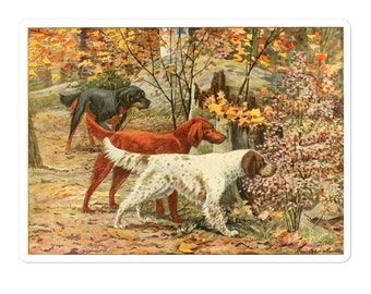 Olivier de Penne 1800s Hunting Dog Signed Lithographs Irish Setter n Gordon Setter FREE SHIPPING- PAIR of C Olivier de Penne 1800s Hunting Dog Signed Lithographs Irish Setter n Gordon Setter FREE SHIPPING- PAIR of C