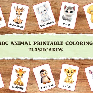 Baby Tier Alphabet Karteikarten | Niedliche ABC Karteikarten für Kinder | Vorschule lernen ausdrucken | Montessori Alphabet Karten
