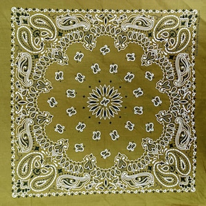 Green Classic Bandana - 1 PACK - 22&quot;x22&quot; -  USA MADE - Classic Paisley Bandana