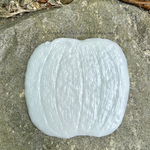 Handmade White Pumpkin Switch Plate or Wall Decor