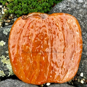 Pumpkin single or double switch plate, outlet cover or wall decor, realistic and handmade