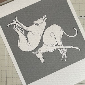 Greyhound Sketch fine art giclée print