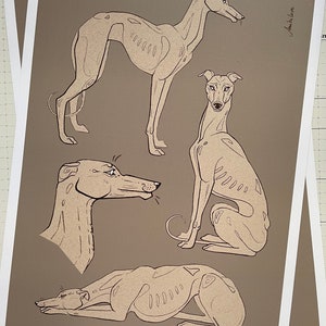 Greyhound Art (poster print illustration)