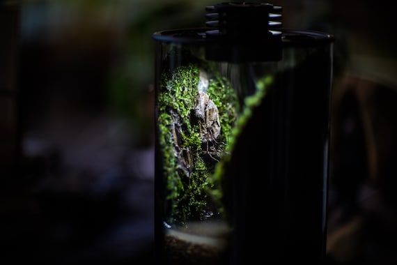 Bioloark Bio Bottle ZD200 - Etsy Canada
