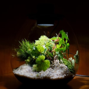 Bioloark Bio Bottle PD170