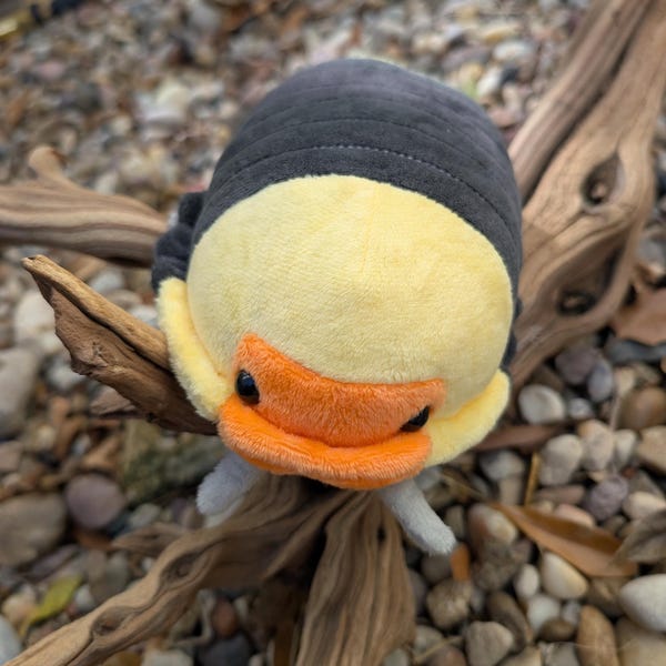 Rubber Ducky Isopod Plushie