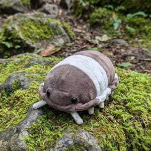 May include: A plush toy shaped like an isopod, featuring a segmented body with alternating bands of soft brown and white fabric. The creature has two small black eyes, a rounded head, and several small white legs extending from its underside.