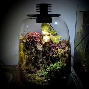 Bioloark Bio Bottle QD172