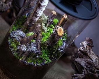 Bioloark Bio Bottle ZD200