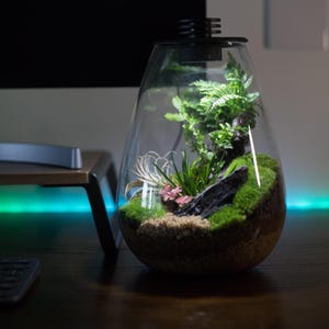 Bioloark Bio Bottle SD175