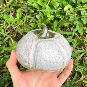 May include: A ceramic pumpkin sculpture with a speckled light gray glaze and a smooth, dark green stem. The pumpkin features vertical indentations along its rounded body, creating a segmented appearance with a textured, earthy finish.
