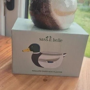 May include: A ceramic mallard duck mini planter. The duck has a black head, yellow beak, and white collar. The planter sits on a box with a duck illustration and the text "sass & belle".