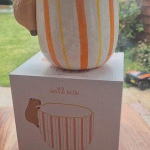 May include: A striped ceramic planter with a capybara figure attached. The planter has orange and yellow stripes. The box below features the words "Sass & Belle" and a drawing of the planter.