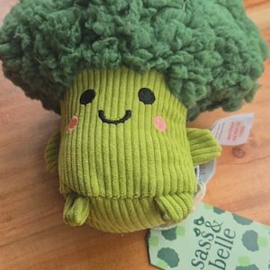 May include: A green plush broccoli toy with a smiling face and pink cheeks. The broccoli head is a darker green, and the stem is a lighter green with vertical ribbing. A tag with the words "sass & belle" is attached.