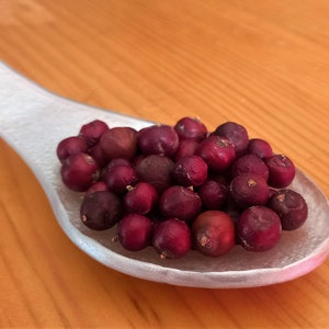 Juniperus Oxycedrus - Oxycedrus Juniper Seeds