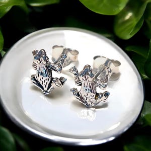 Dainty Frog Push-Back Stud Earrings in 925 Sterling Silver,Playful & Unique Accessory for Any Occasion, Great Gift for Birthdays 2136
