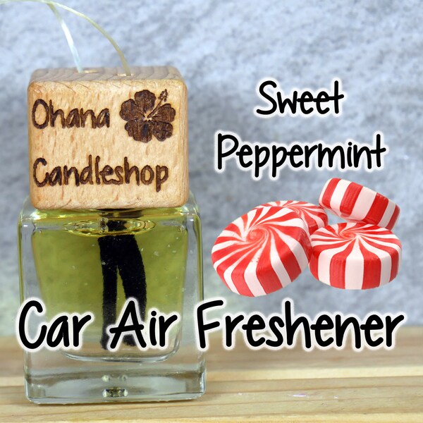 Air Freshener Etsy