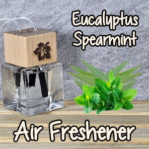 May include: A clear glass bottle with a wooden cap and a black diffuser stick. The bottle is filled with a clear liquid. The bottle is labeled "Eucalyptus Spearmint Air Freshener".