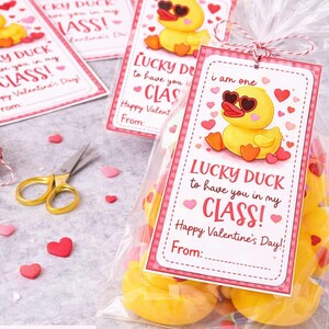 Könnte beinhalten: Valentinstags-Geschenkanhänger mit einer gelben Gummiente mit herzförmiger Sonnenbrille. Die Anhänger tragen die Aufschrift "Lucky Duck to have you in my class! Happy Valentine's Day!" und sind mit rot-weißem Garn an Klarsichtbeuteln befestigt. Kleine herzförmige Süßigkeiten und eine goldene Schere sind ebenfalls vorhanden.