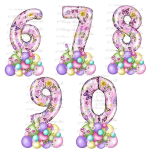 Primavera rosa floral borboleta Número balões de aniversário pacote de clipart sublimação designs download instantâneo arte digital desenhado à mão