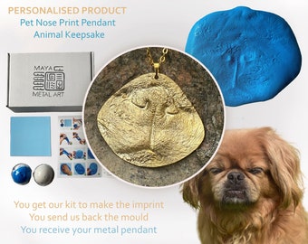 Pet nose pendant kit Clearance