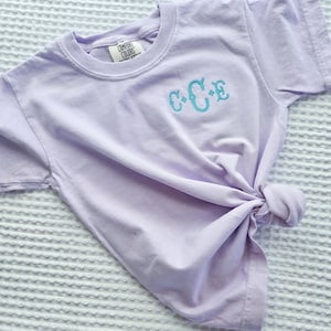 Monogram Embroidered T Shirt-Custom Comfort Colors-Custom Embroidered-Name Tee-Toddler Tee-Back to School