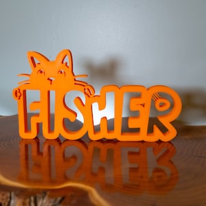 Cat Name Plate - Cat Name Sign - Cat Lover Gift - Veterinarian Gift - Cat Name Plate for Shelf - Vet desk nameplate - Cat Birthday Gift