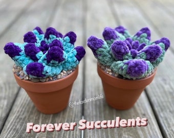 CROCHET PATTERN: Forever Succulents