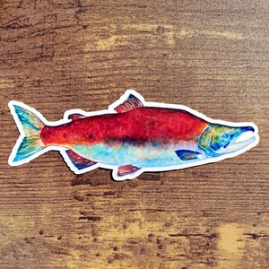 STC-140 Alaska Sockeye Salmon Sticker, Katmai National Park Sticker, Fat Bear Week, Fishing Adventure Sticker, Wild Alaska Salmon,Alaska Art