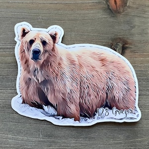 STC•215 Bear “128 Grazer&quot; Sticker, Brooks Falls Alaska, Katmai National Park Alaska, Fat Bear Week Winner, Alaska Photography, Alaska Art