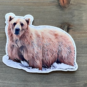 STC•216 Katmai Brown Bear “128 Grazer&quot; Sticker, Brooks Falls Alaska, Katmai National Park Alaska, Alaska Photography, National Park Sticker